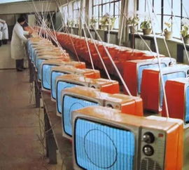 合美家紡工廠 傳統工藝與數碼科技融合的創新之路