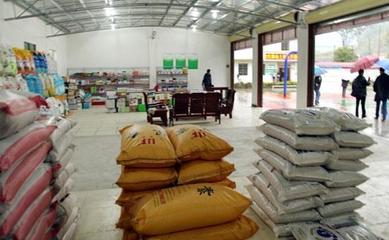 深耕縣域，掘金農資 化肥農藥種子縣級代理經銷商的機遇與挑戰分析