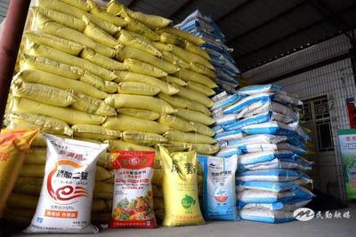 民勤縣西渠鎮 農資儲備足 春耕有保障 化肥銷售服務暖民心